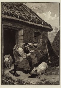 Privát borotválkozás Galway megyében
